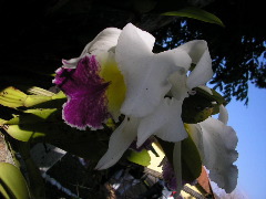 P9070008.JPG