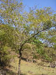P9070021.JPG