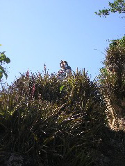 P9070023.JPG