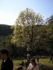 P9070028.JPG