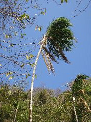 P9070029.JPG