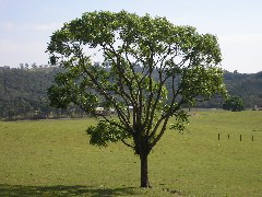 P9070011.JPG