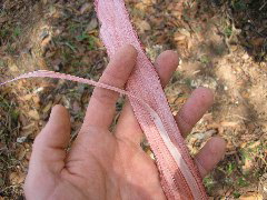 P9070040.JPG