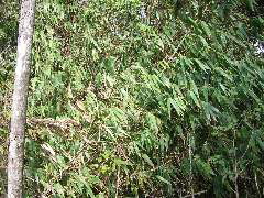 P9070042.JPG