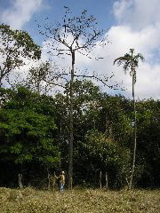 P9070045.JPG
