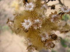 P9070054.JPG