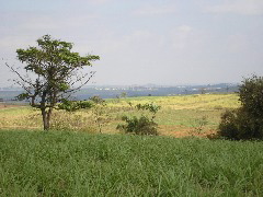 P9070057.JPG