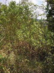 P9070068.JPG
