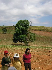 P9070072.JPG
