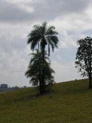 P9070073.JPG