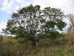 P9070080.JPG