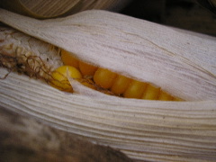 P9070086.JPG