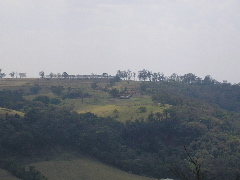 P9070091.JPG