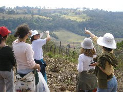 P9070093.JPG