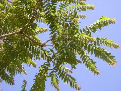 P9070017.JPG