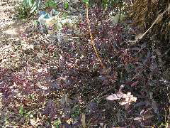 P9070098.JPG