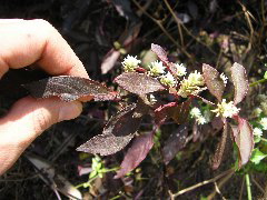 P9070099.JPG