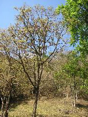 P9070018.JPG