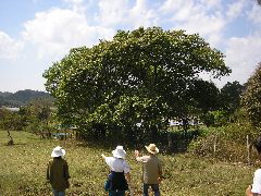 P9070114.JPG
