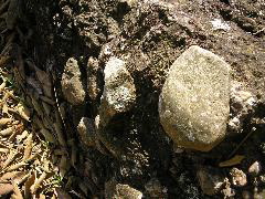 P9070020.JPG