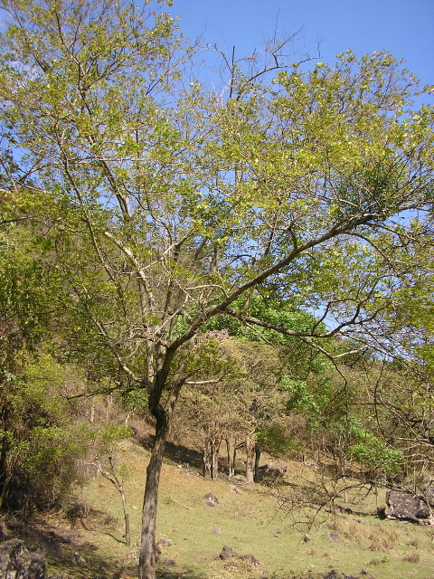 P9070021.JPG