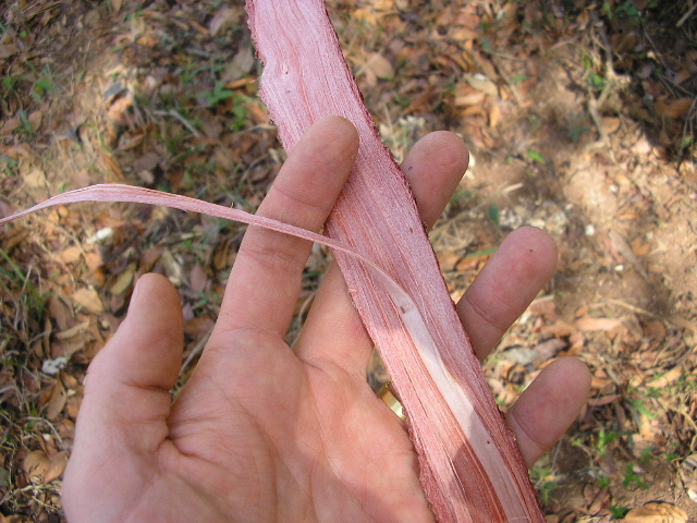P9070040.JPG