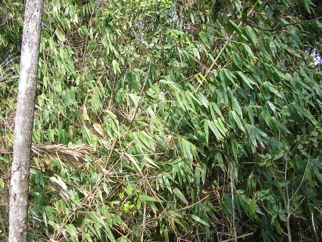 P9070042.JPG
