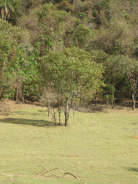P9070012.JPG