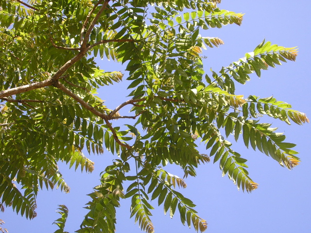 P9070017.JPG