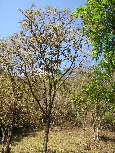 P9070018.JPG